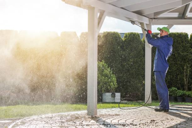 Best Solar Panel Cleaning  in Pines Lake, NJ